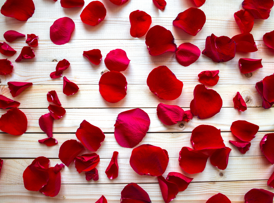 Rose petals